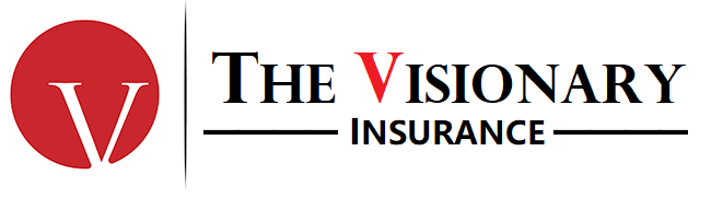 vgroupusa_logo